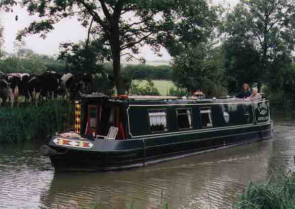 Out on the cut
